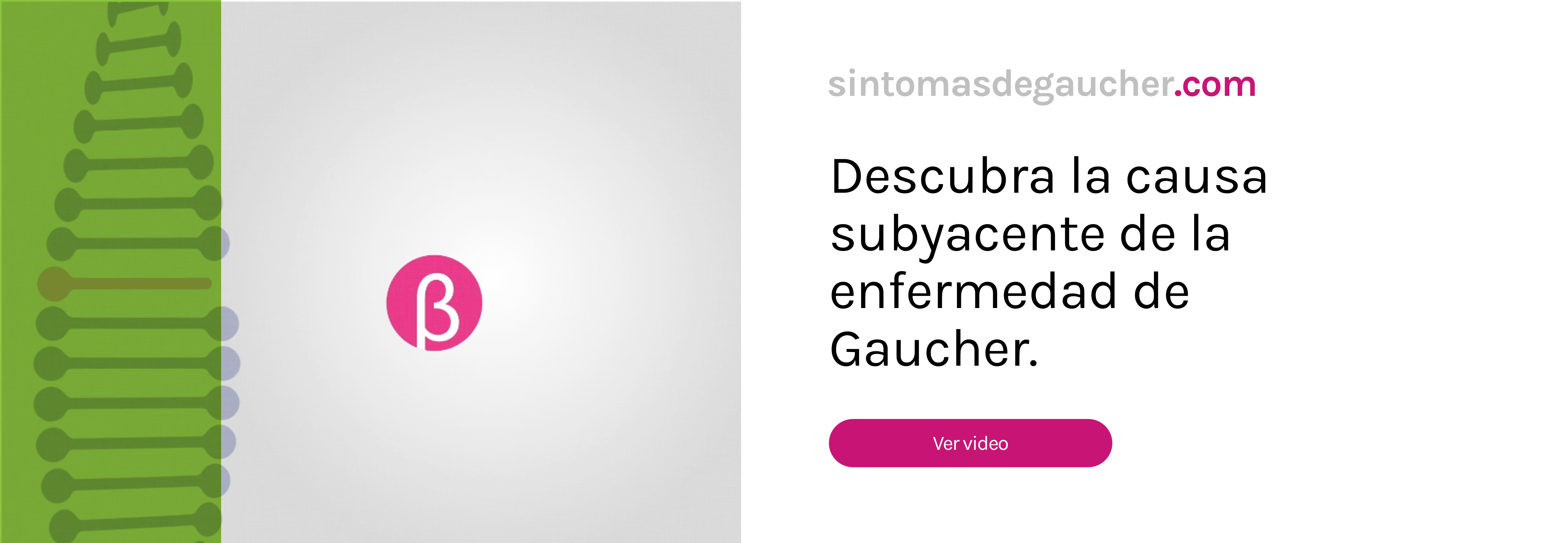 Descubra la causa subyacente de la enfermedad de Gaucher. Ver video.